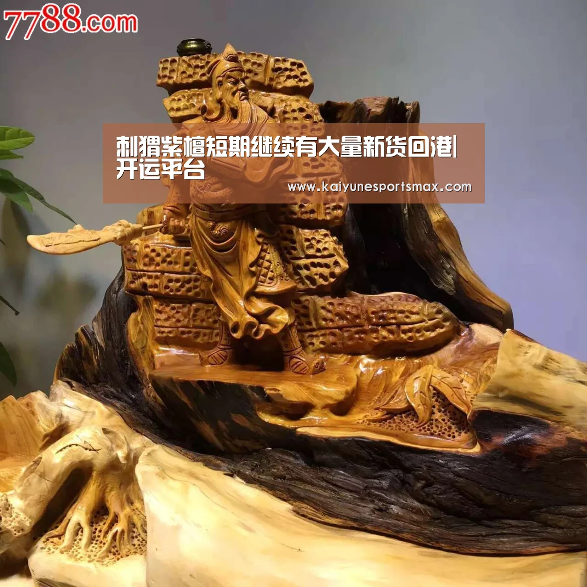 刺猬紫檀短期继续有大量新货回港|开运平台(图1) 开运下载